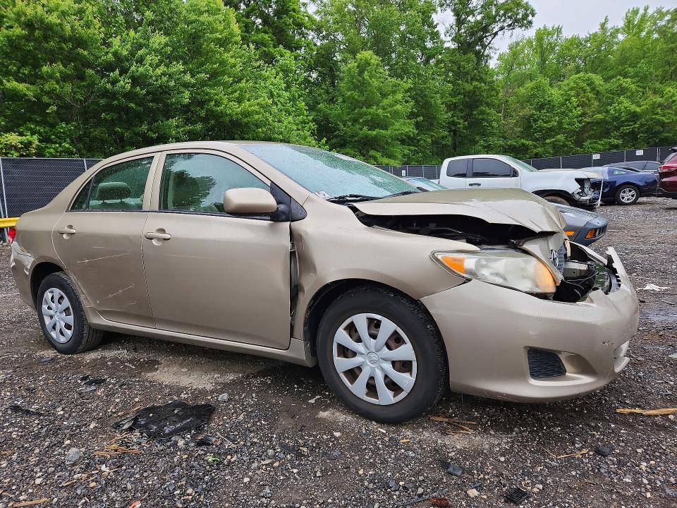 Продаж на аукціоні авто 2009 Toyota Corolla, vin: 2T1BU40E49C182580, номер лоту: 53058666