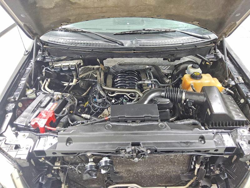 Продажа на аукционе авто 2013 Ford F150, vin: 1FTFW1CF1DFA64663, номер лота: 52270406