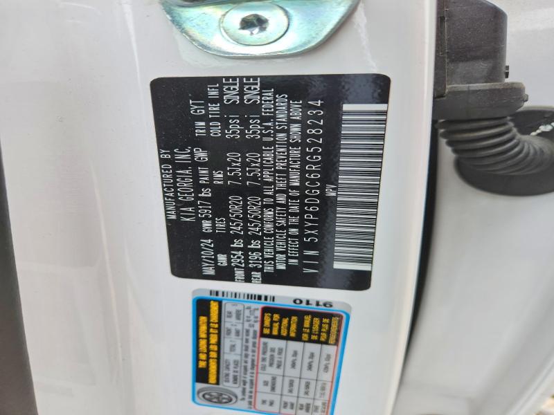 Aukcja sprzedaży 2024 Kia Telluride, vin: 5XYP6DGC6RG528234, numer aukcji: 54204946