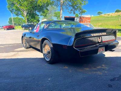 Продаж на аукціоні авто 1981 Pontiac Firebird, vin: 1G2AW87W5BL105229, номер лоту: 52780396