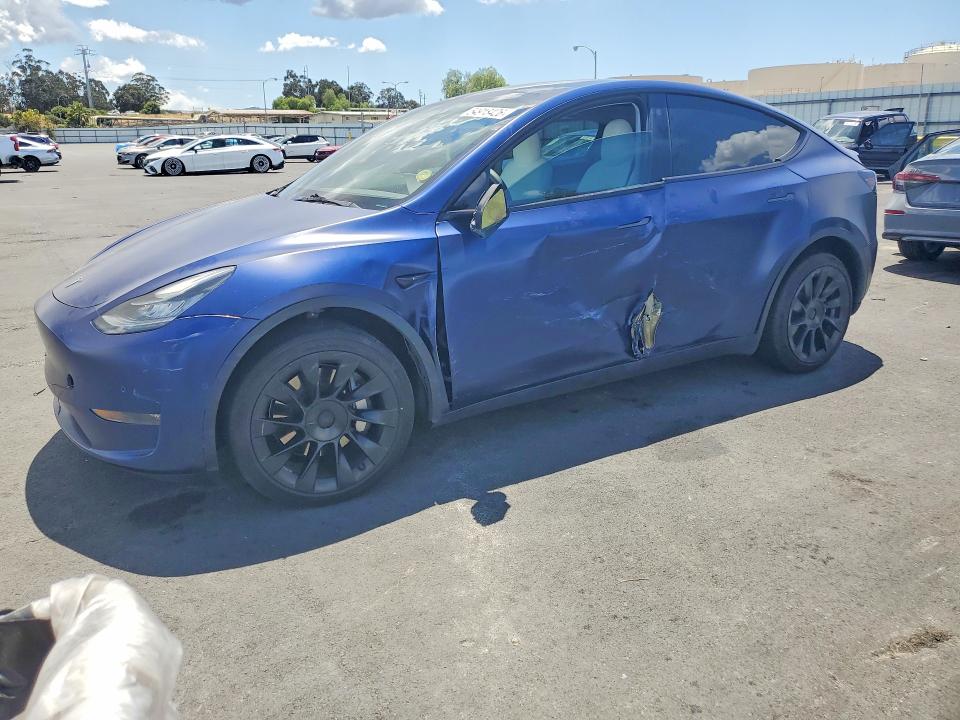 Продаж на аукціоні авто 2022 Tesla Model Y, vin: 7SAYGDEE6NF339593, номер лоту: 54918426