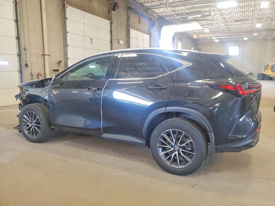 2025 Lexus Nx მანქანა იყიდება აუქციონზე, vin: 2T2HGCEZ7SC077010, აუქციონის ნომერი: 53516636