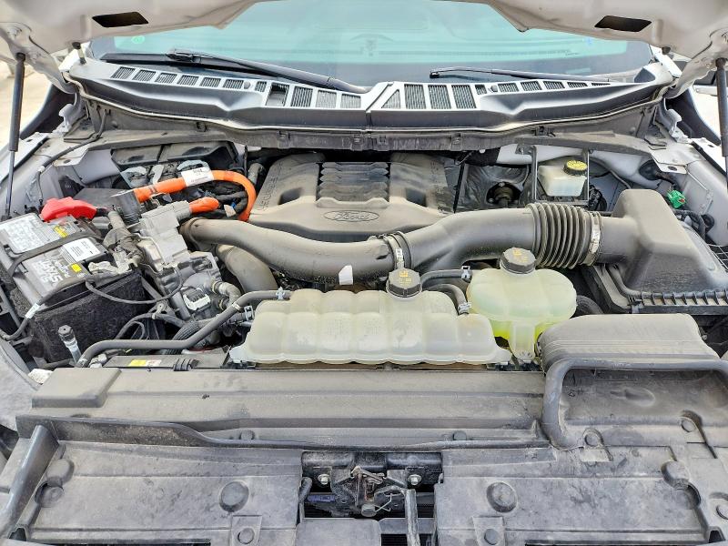 52482276 :رقم المزاد ، 1FTFW1ED6MFB07132 vin ، 2021 Ford F150 مزاد بيع