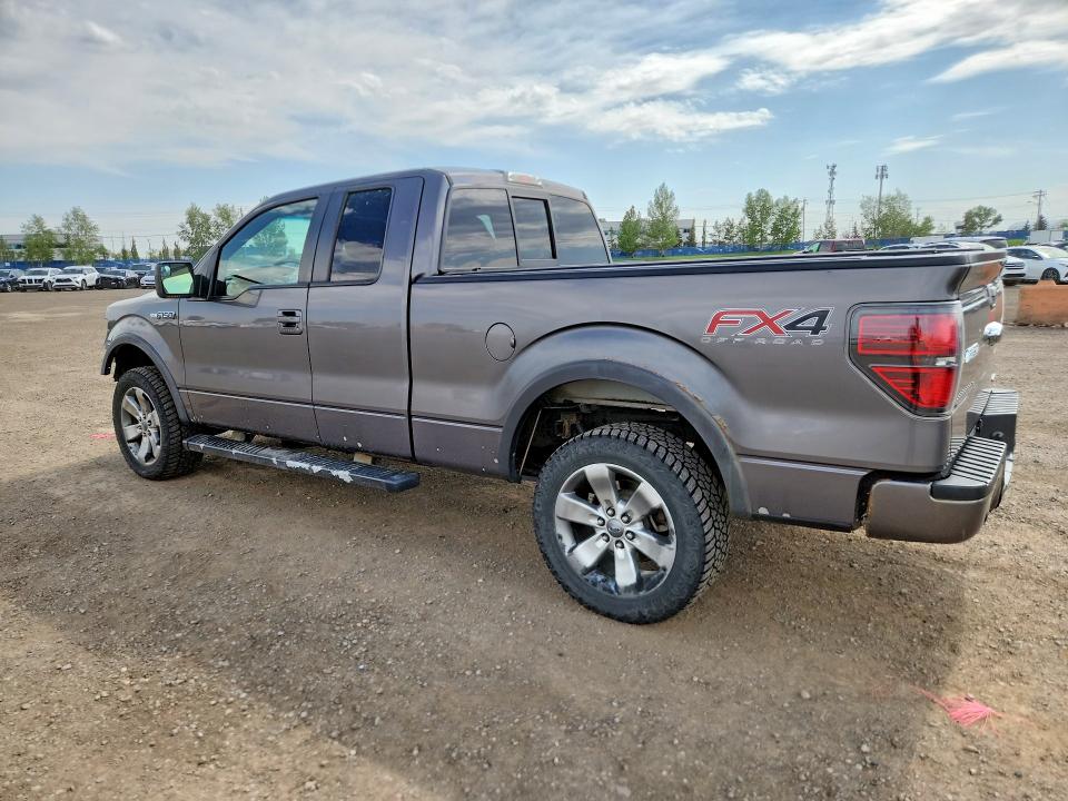 2013 Ford F150 მანქანა იყიდება აუქციონზე, vin: 1FTFX1EF4DKD97862, აუქციონის ნომერი: 54910906