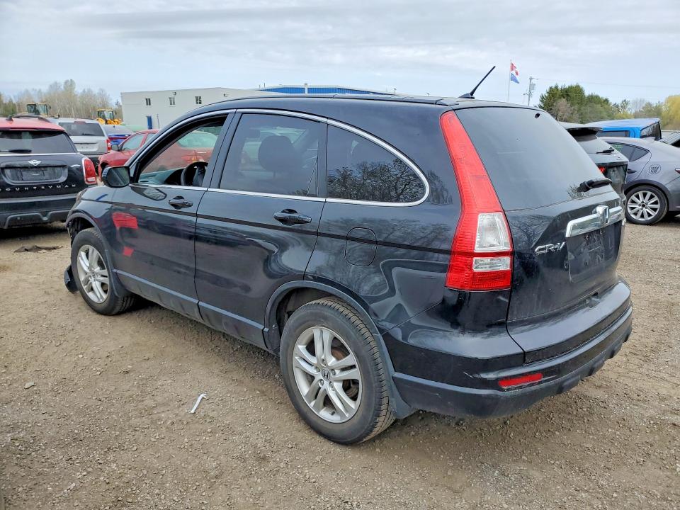 Продаж на аукціоні авто 2011 Honda Cr-v, vin: 5J6RE4H5XBL809839, номер лоту: 50941376