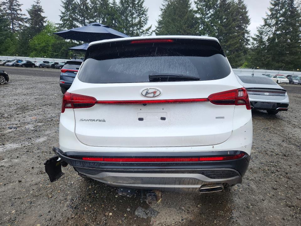 Aukcja sprzedaży 2023 Hyundai Santa Fe, vin: 5NMS2DAJ6PH486521, numer aukcji: 53556256