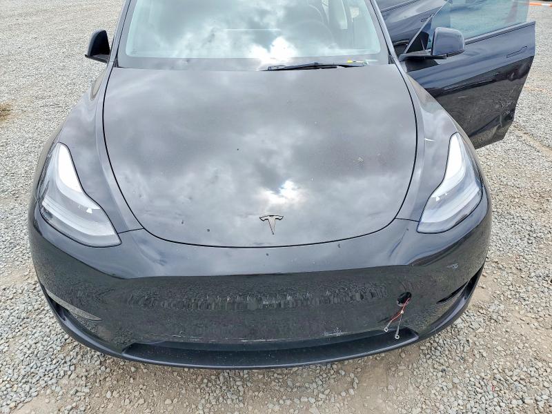 53315446 :رقم المزاد ، 5YJYGDEF8MF137665 vin ، 2021 Tesla Model Y مزاد بيع