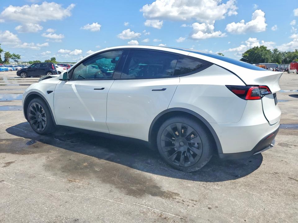 53135966 :رقم المزاد ، 5YJYGAEE5MF138021 vin ، 2021 Tesla Model Y مزاد بيع