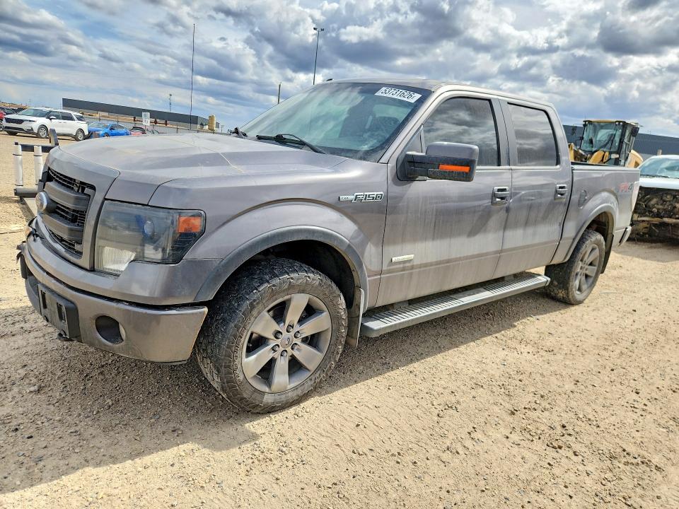 53731626 :رقم المزاد ، 1FTFW1ET0EKE41883 vin ، 2014 Ford F150 مزاد بيع