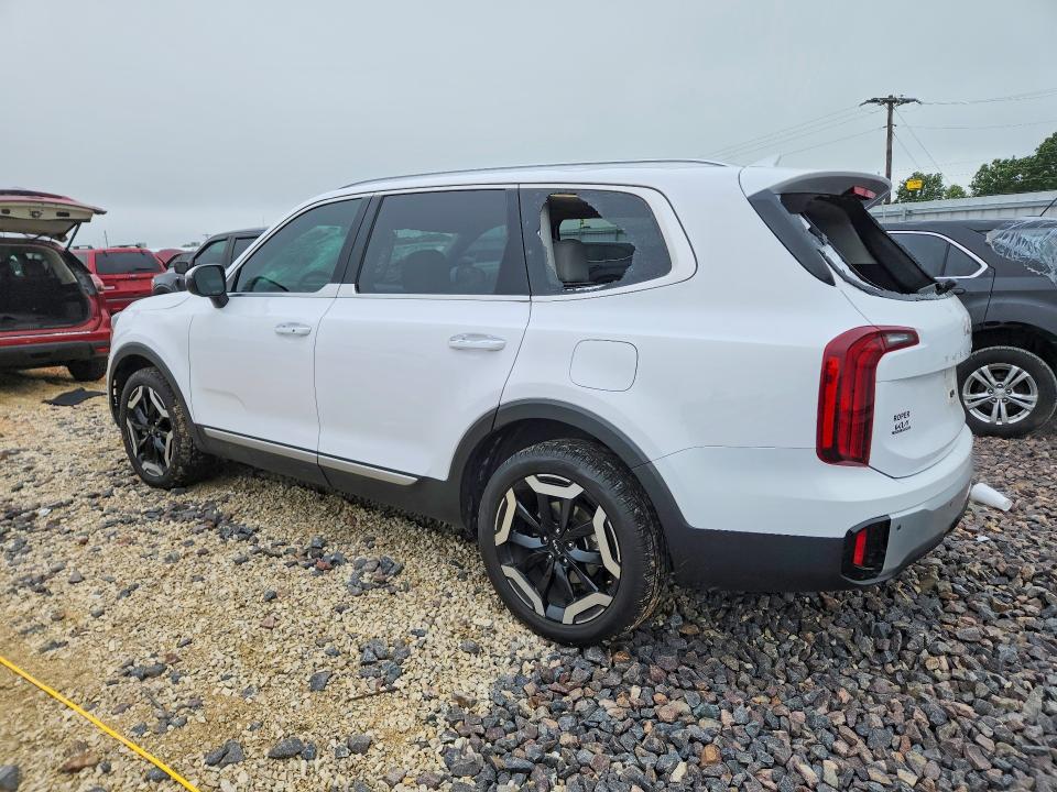 Aukcja sprzedaży 2024 Kia Telluride, vin: 5XYP6DGC6RG528234, numer aukcji: 54204946