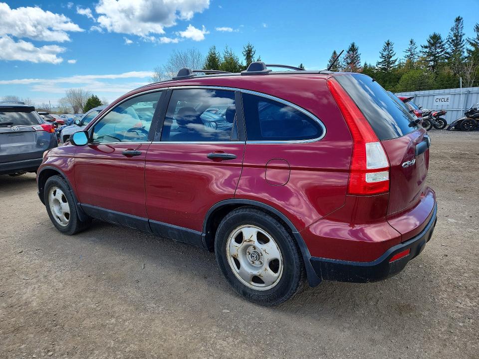 Продаж на аукціоні авто 2009 Honda Cr-v, vin: 5J6RE38349L801304, номер лоту: 53000356