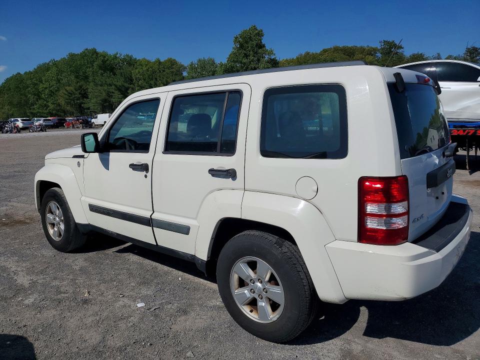 Продаж на аукціоні авто 2010 Jeep Liberty, vin: 1J4PN2GK5AW133025, номер лоту: 52094556