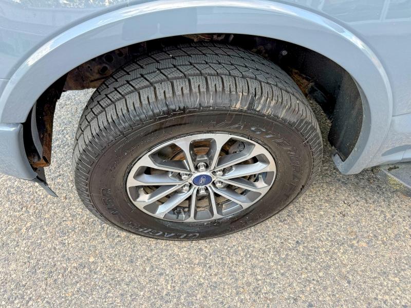 55457486 :رقم المزاد ، 1FTEW1EP4KFA25998 vin ، 2019 Ford F150 مزاد بيع