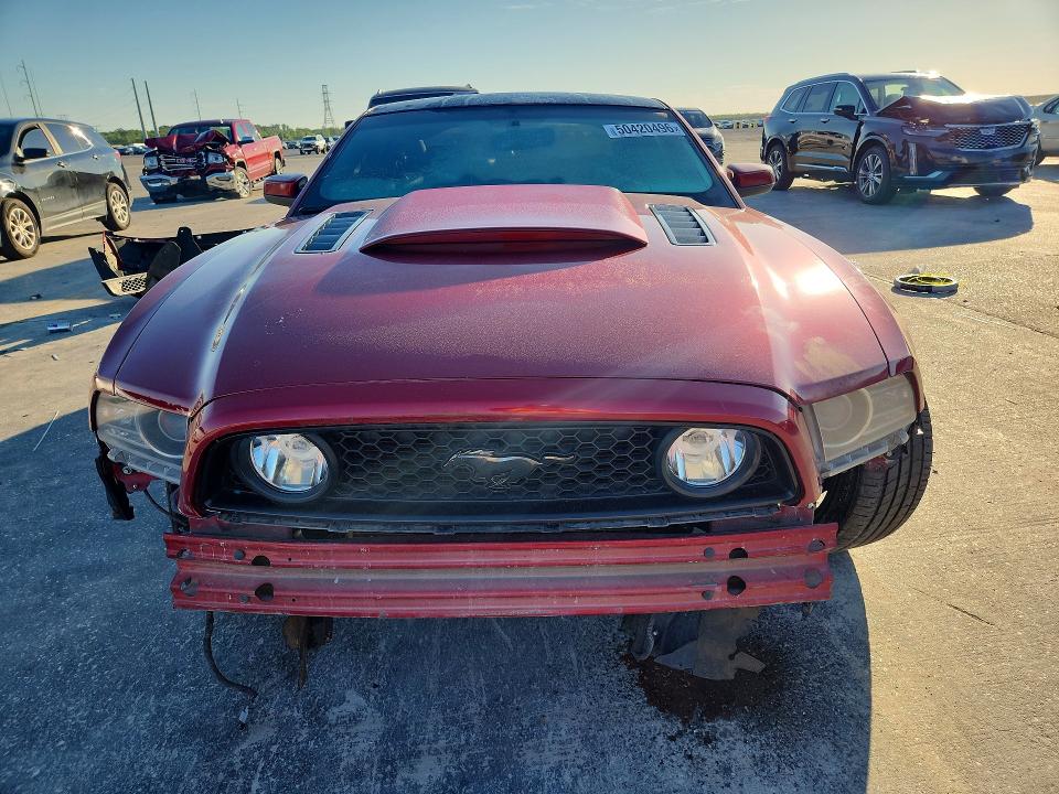 50420496 :رقم المزاد ، 1ZVBP8CF5E5214458 vin ، 2014 Ford Mustang مزاد بيع
