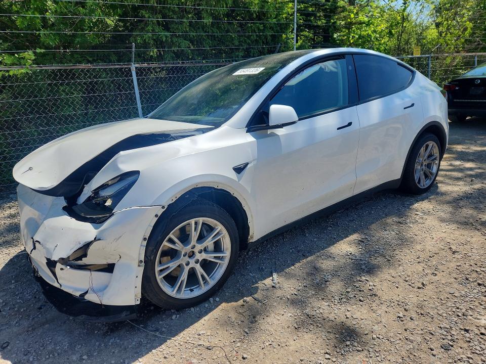 Auction sale of the 2024 Tesla Model Y, vin: 7SAYGDEEXRA274556, lot number: 55491326