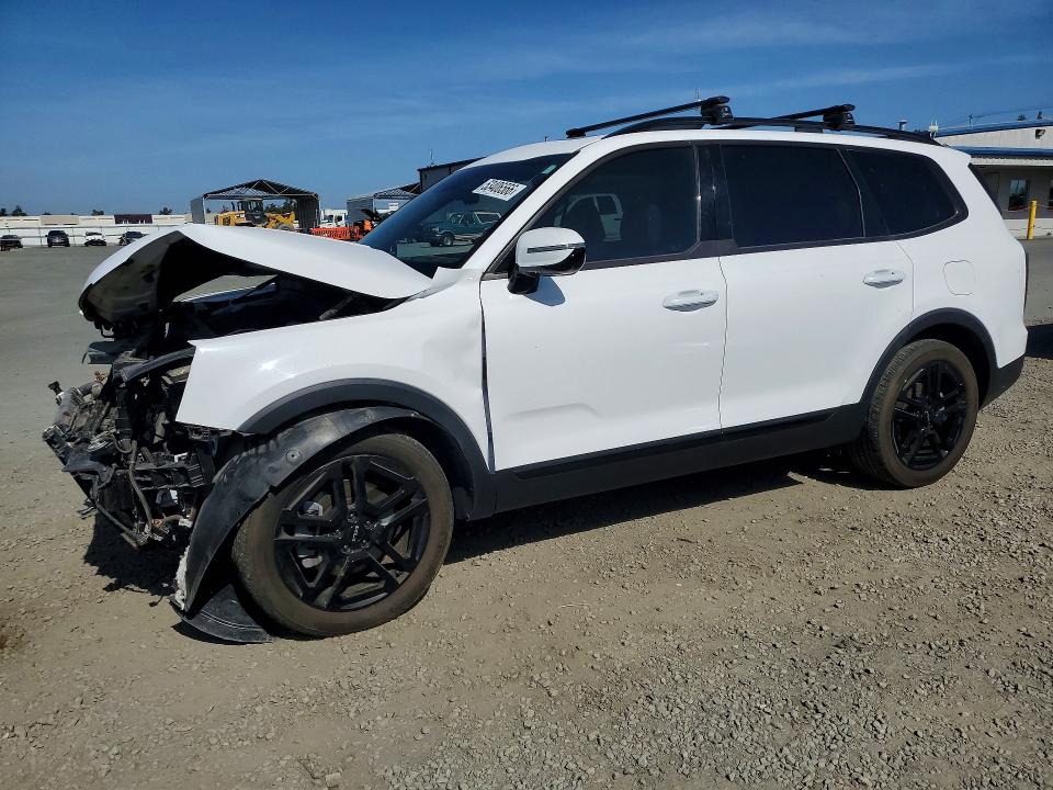 Aukcja sprzedaży 2024 Kia Telluride, vin: 5XYP5DGCXRG541801, numer aukcji: 53406566