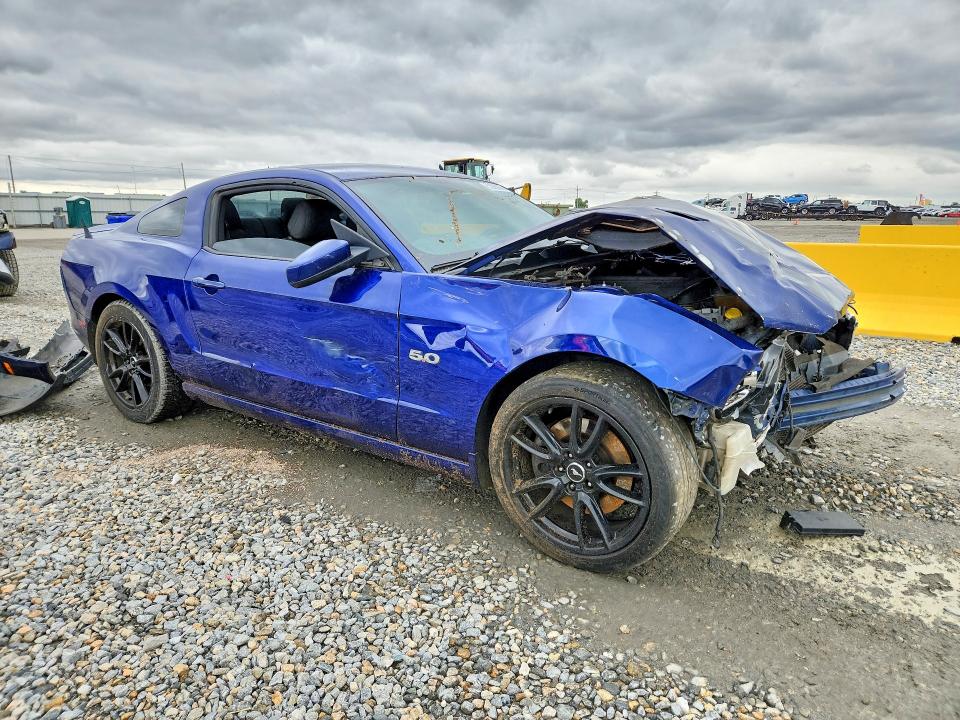 Продажа на аукционе авто 2013 Ford Mustang, vin: 1ZVBP8CF4D5269062, номер лота: 53920056