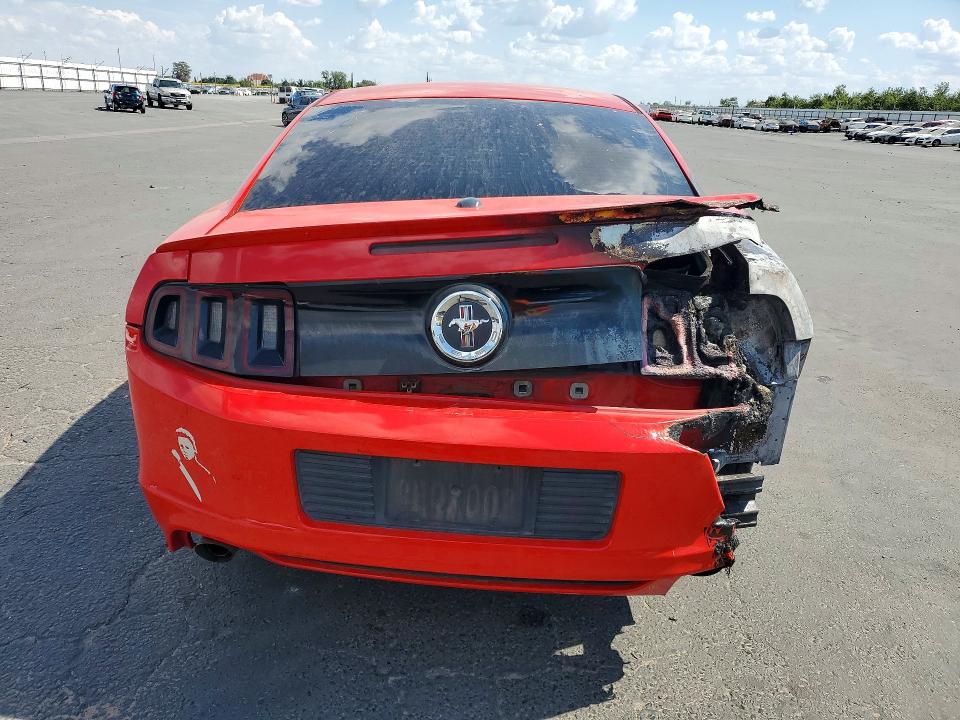55222666 :رقم المزاد ، 1ZVBP8AM0D5242118 vin ، 2013 Ford Mustang مزاد بيع