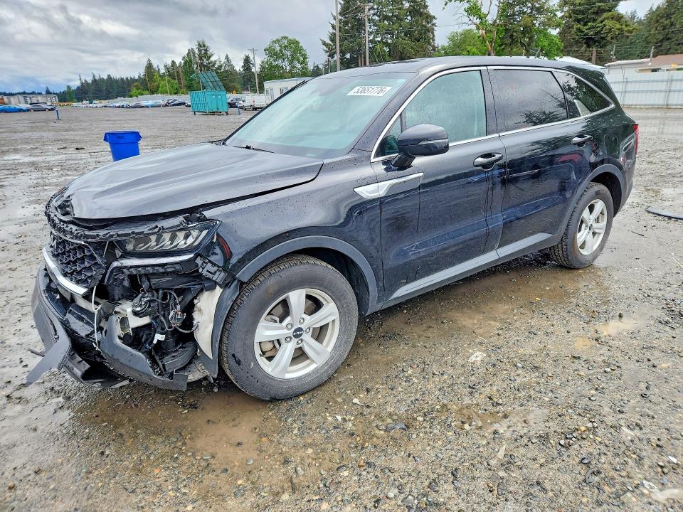 Продаж на аукціоні авто 2023 Kia Sorento, vin: 5XYRG4LC4PG201372, номер лоту: 53651776