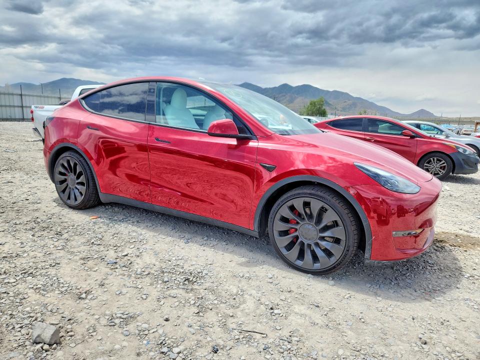 Продаж на аукціоні авто 2023 Tesla Model Y, vin: 7SAYGDEF6PF779776, номер лоту: 55589716