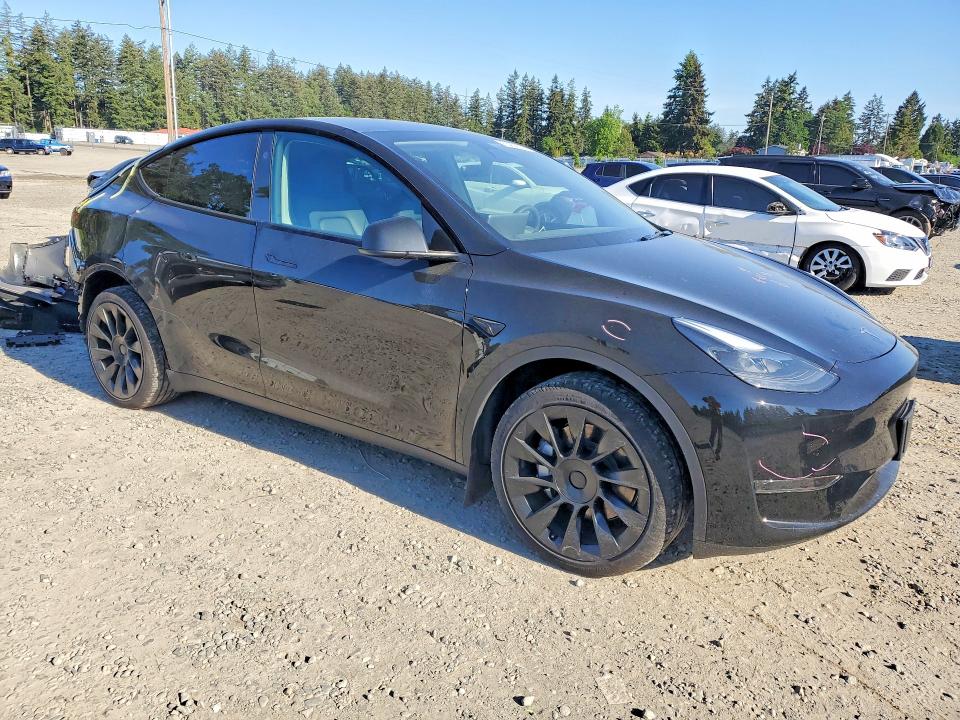 Продаж на аукціоні авто 2024 Tesla Model Y, vin: 7SAYGDED8RF086063, номер лоту: 53909236