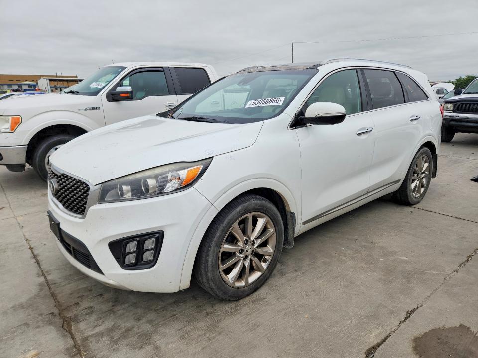 Продаж на аукціоні авто 2017 Kia Sorento, vin: 5XYPK4A50HG309550, номер лоту: 53058866