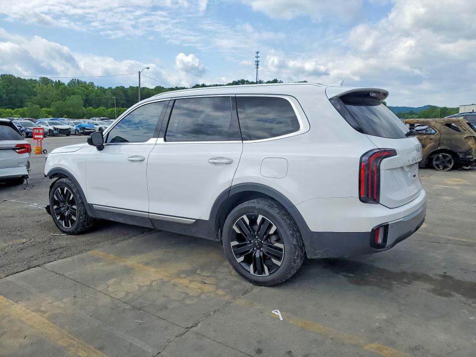 Продажа на аукционе авто 2024 Kia Telluride, vin: 5XYP5DGC7RG441705, номер лота: 51364656