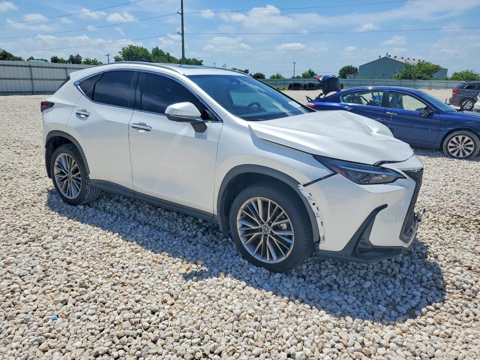 2025 Lexus Nx მანქანა იყიდება აუქციონზე, vin: JTJGGCEZ9S5011634, აუქციონის ნომერი: 55332116