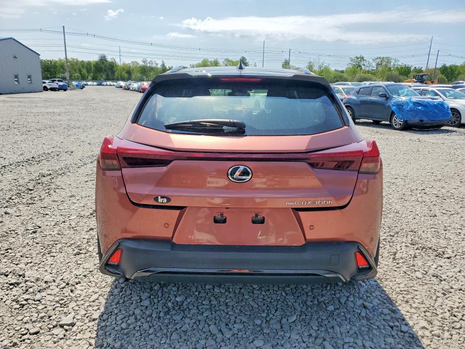 Продажа на аукционе авто 2025 Lexus Ux 300h, vin: JTHUCJDH6S2009399, номер лота: 53687106