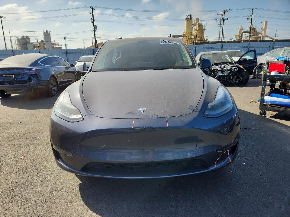 Aukcja sprzedaży 2023 Tesla Model Y, vin: 7SAYGDEE2PF743302, numer aukcji: 53999466