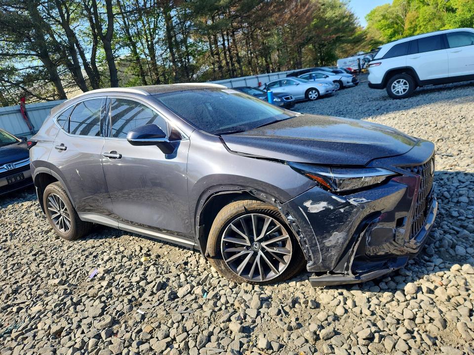 52142196 :رقم المزاد ، 2T2GGCEZ3RC048108 vin ، 2024 Lexus Nx مزاد بيع