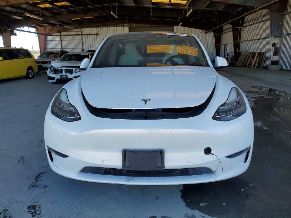 53596986 :رقم المزاد ، 5YJYGDEE0MF240506 vin ، 2021 Tesla Model Y مزاد بيع