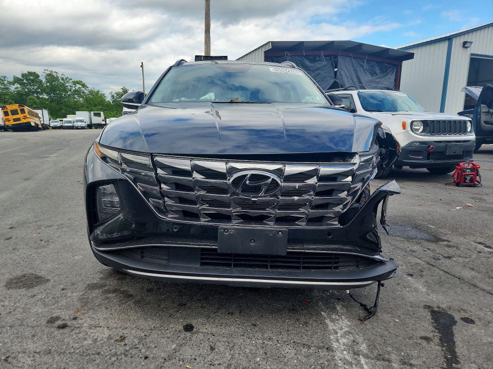 Продажа на аукционе авто 2024 Hyundai Tucson, vin: 5NMJECDE8RH329569, номер лота: 53987266