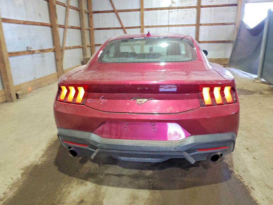 52254806 :رقم المزاد ، 1FA6P8TH4S5102855 vin ، 2025 Ford Mustang مزاد بيع