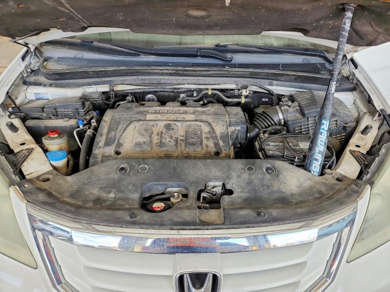 Продаж на аукціоні авто 2008 Honda Odyssey, vin: 5FNRL38688B043197, номер лоту: 52549886