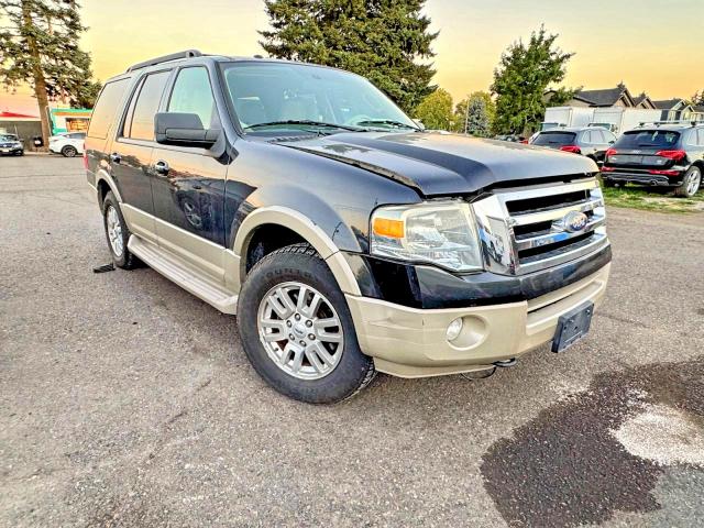 54928406 :رقم المزاد ، 1FMJU1J58AEB58207 vin ، 2010 Ford Expedition مزاد بيع
