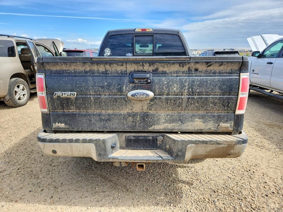 Auction sale of the 2010 Ford F150, vin: 1FTFW1EV6AFB89707, lot number: 54728836