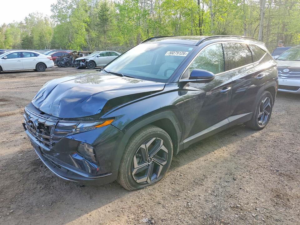 Продаж на аукціоні авто 2024 Hyundai Tucson, vin: KM8JCCD12RU169535, номер лоту: 50279126