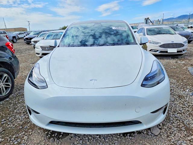 Aukcja sprzedaży 2025 Tesla Model Y, vin: 7SAYGDEEXSF259046, numer aukcji: 54833236