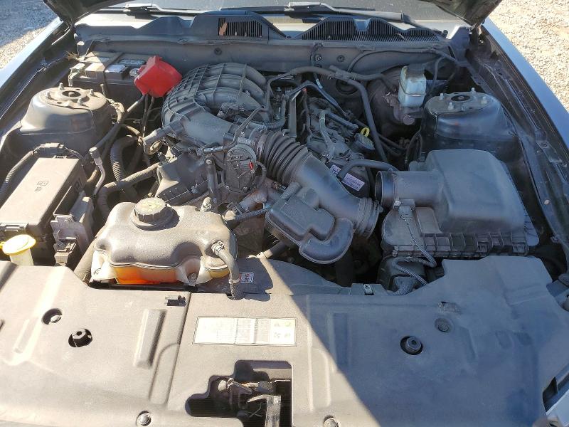 Продаж на аукціоні авто 2013 Ford Mustang, vin: 1ZVBP8AMXD5250498, номер лоту: 54066036