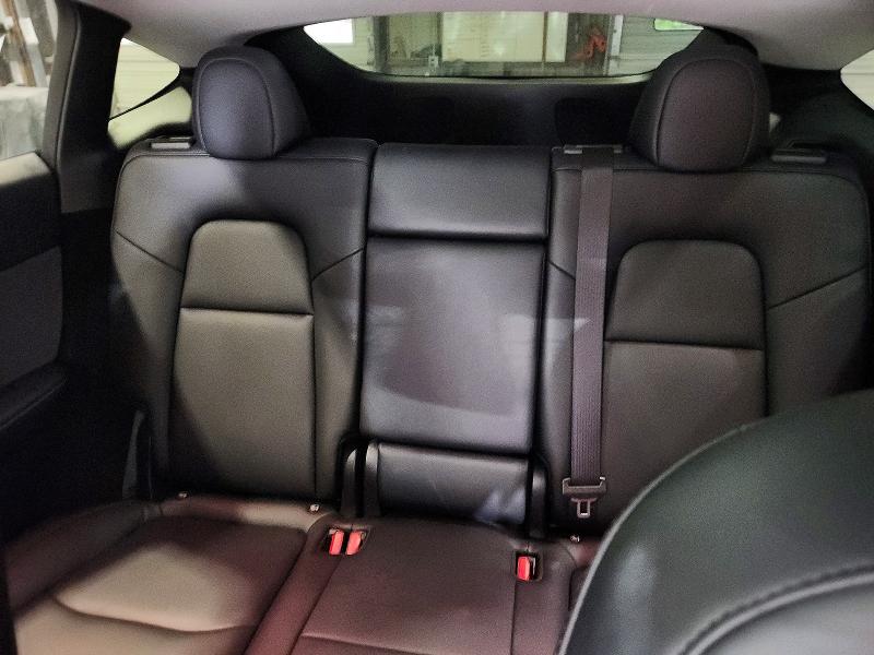 Aukcja sprzedaży 2024 Tesla Model Y, vin: 7SAYGDEE5RA304983, numer aukcji: 53750666