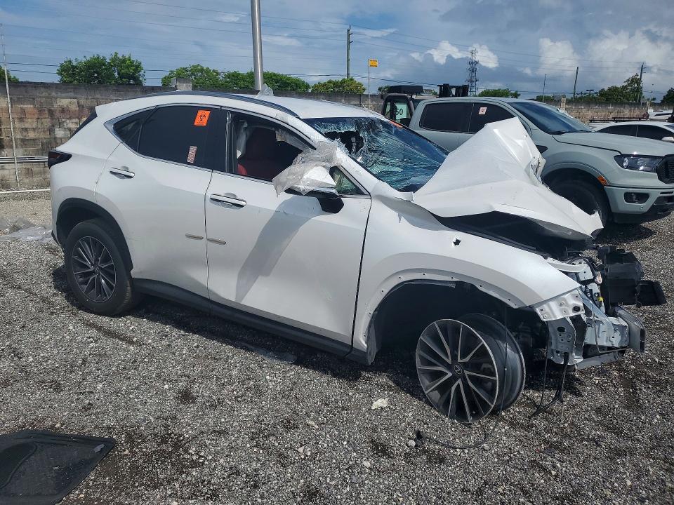 Продаж на аукціоні авто 2025 Lexus Nx 250, vin: JTJADCAZ2S5024066, номер лоту: 53825066