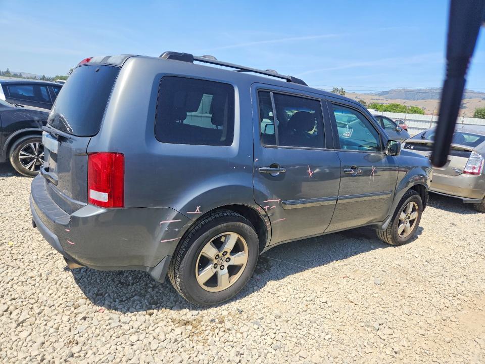 Продаж на аукціоні авто 2009 Honda Pilot, vin: 5FNYF48679B020665, номер лоту: 53242906