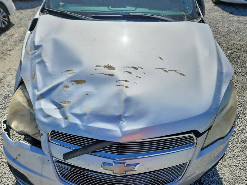Продаж на аукціоні авто 2011 Chevrolet Equinox, vin: 2CNALBEC0B6308365, номер лоту: 55241086