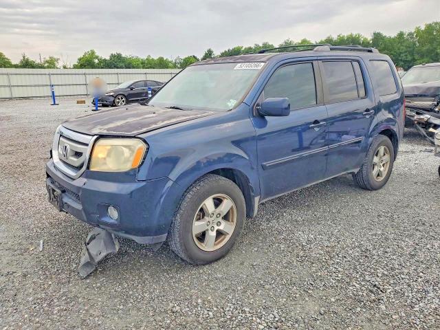 Auction sale of the 2009 Honda Pilot, vin: 5FNYF38529B021062, lot number: 53105266