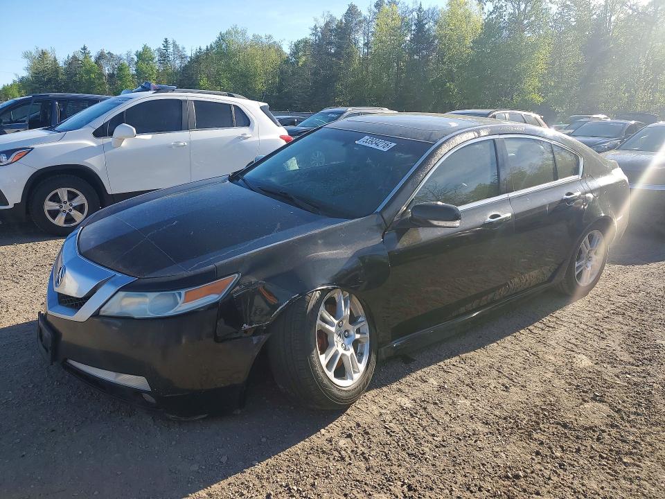 Auction sale of the 2009 Acura Tl, vin: 19UUA86579A801775, lot number: 53934216