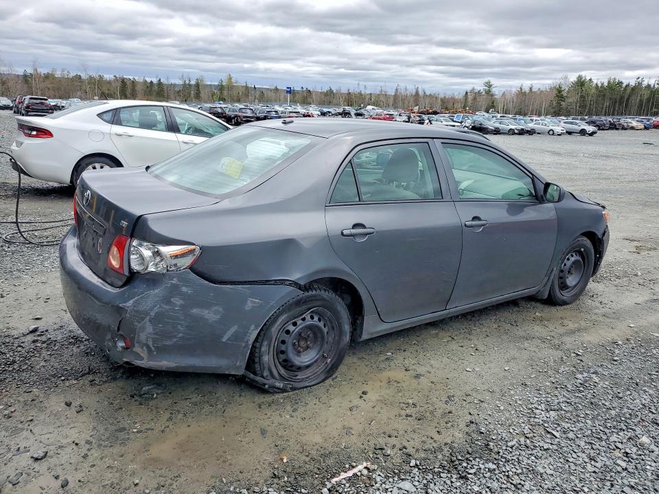 Продаж на аукціоні авто 2010 Toyota Corolla, vin: 2T1BU4EE7AC198379, номер лоту: 53961646
