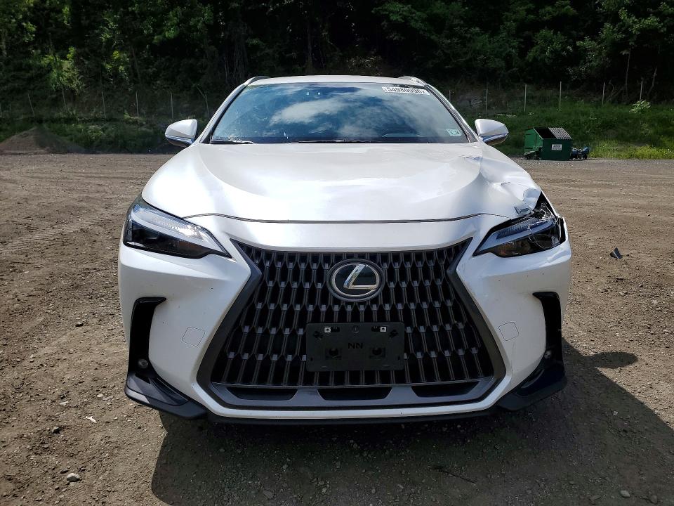 Aukcja sprzedaży 2023 Lexus Nx, vin: JTJADCEZ1P5000858, numer aukcji: 54980996