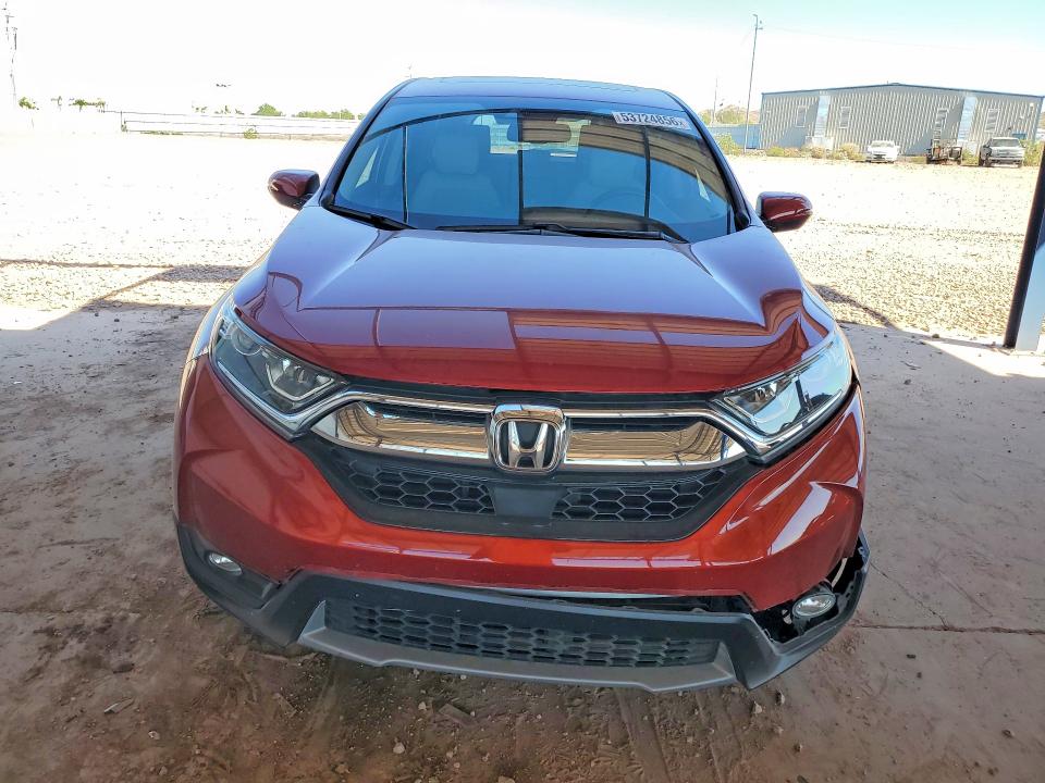 Продаж на аукціоні авто 2019 Honda Cr-v, vin: 5J6RW1H8XKL005191, номер лоту: 53724856