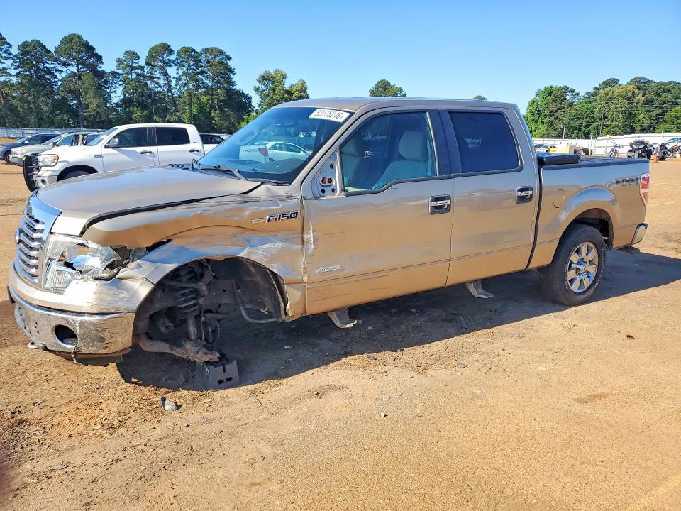Auction sale of the 2011 Ford F150, vin: 1FTFW1ET4BFC49595, lot number: 53076246